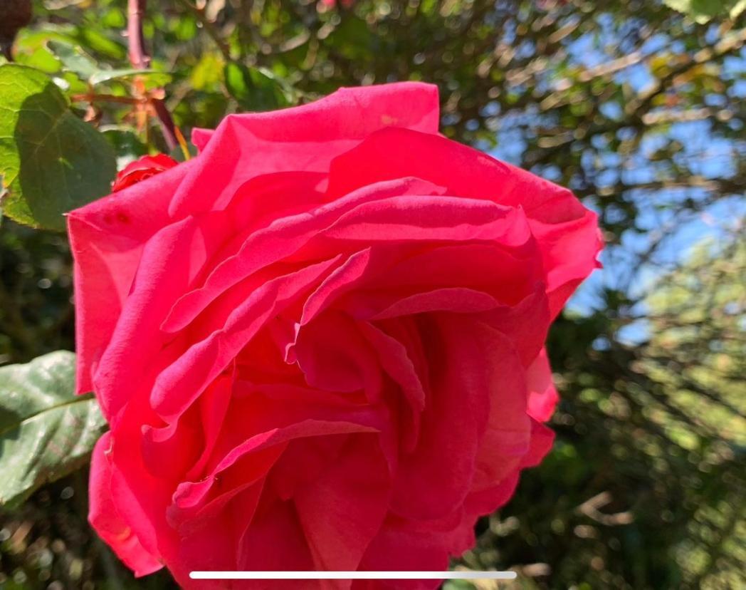 Saint-Aubin-sur-Scie La Grange B&B 외부 사진